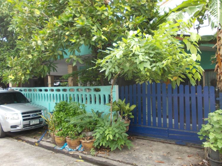 บ้านให้เช่า