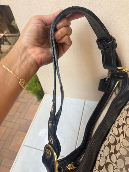 Coach  รูปที่ 10