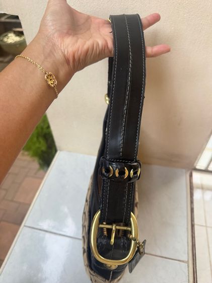 Coach  รูปที่ 7