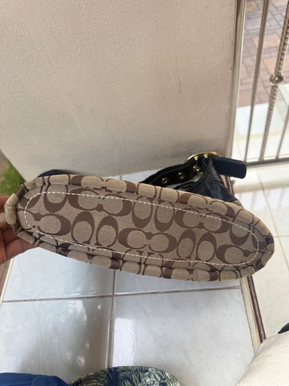 Coach  รูปที่ 13