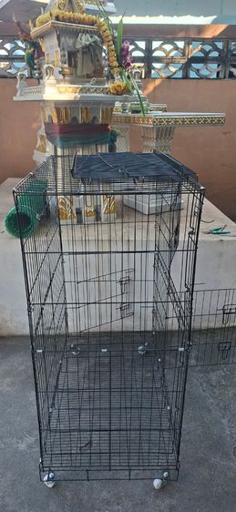 ขายบ้านแมว 3 ชั้นสภาพนางฟ้า