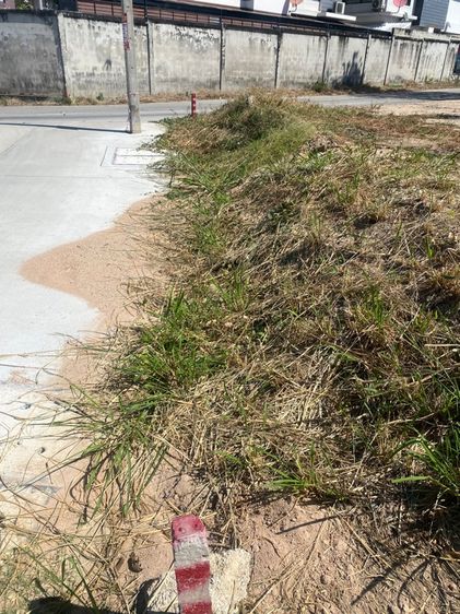 ไม่ใช่ ที่ดินสวยๆหนึ่งงานเหมาะสร้างบ้าน ร้านค้า ติดถนน หลายแยก รูปที่ 4