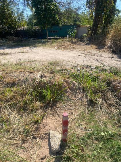 ไม่ใช่ ที่ดินสวยๆหนึ่งงานเหมาะสร้างบ้าน ร้านค้า ติดถนน หลายแยก รูปที่ 3