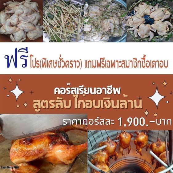 เตาอบอาชีพ รุ่นมาตรฐาร 3380.-บาท รูปที่ 14