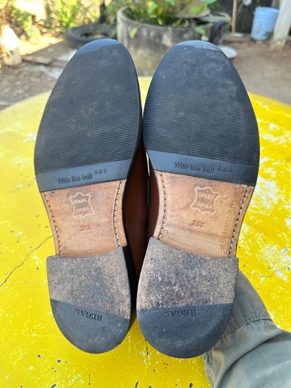 Regle tassle lorfer  รูปที่ 5