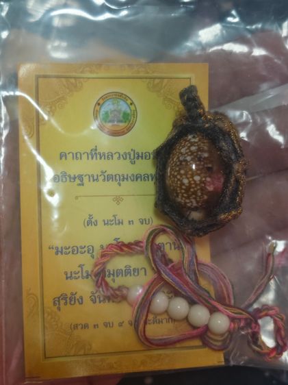 เครื่องรางเบี้ยแก้จน  กำไลหินไทเกอร์อาย หลวงปู่ศิลา แท้จากวัดหมื่นหิน เหมาๆ รูปที่ 3