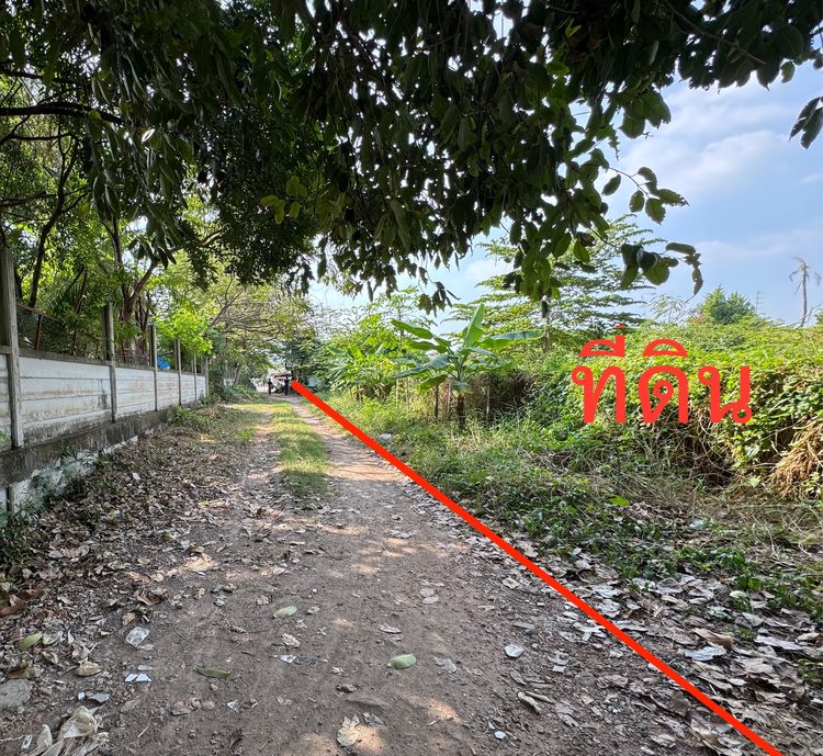 ขายที่ดินเปล่า ถ.พระราม2ซอย25 ใกล้รพ.บางกอก9 รพ.บางมด เซ็นทรัลพระราม2 บิ๊กซี ทางด่วน รูปที่ 2