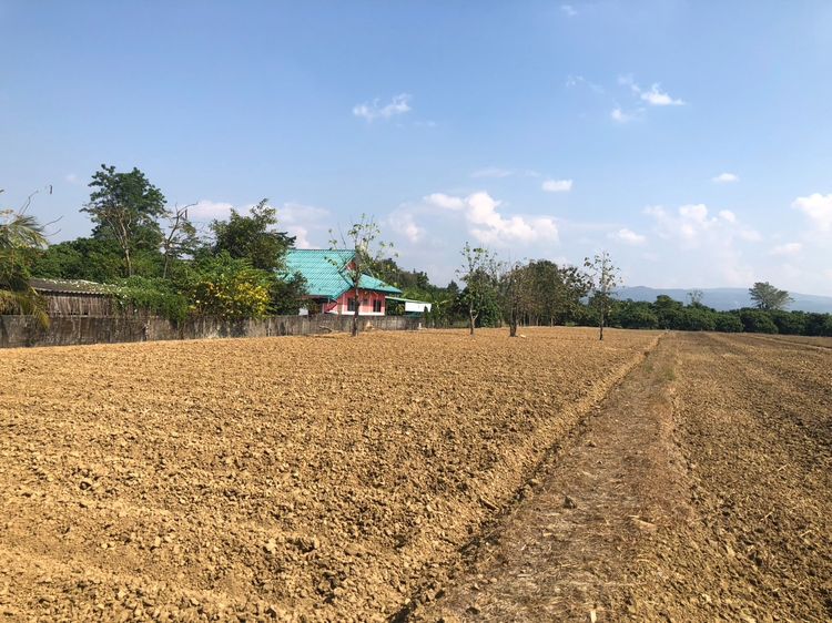 ขายที่ดิน รูปที่ 4