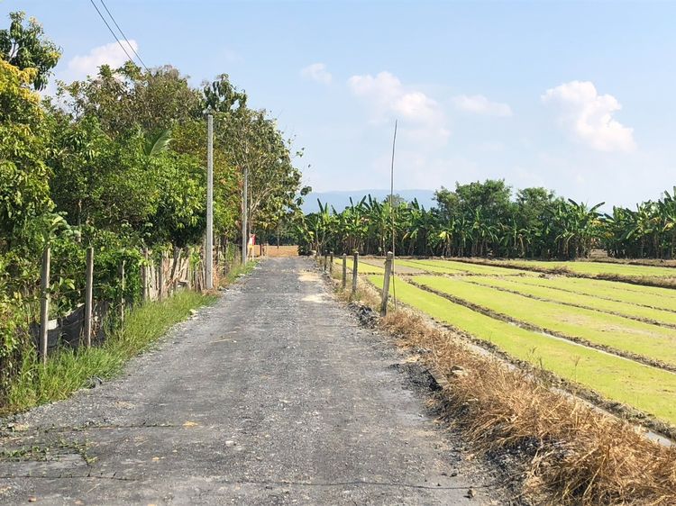 ขายที่ดิน