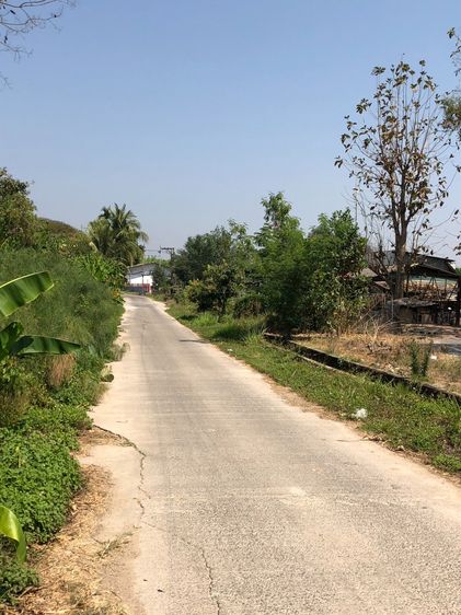 ขายที่ดิน รูปที่ 4