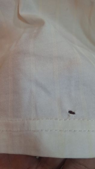 เสื้อทีมชาติอิตาลีเทรนนิ่ง รูปที่ 16