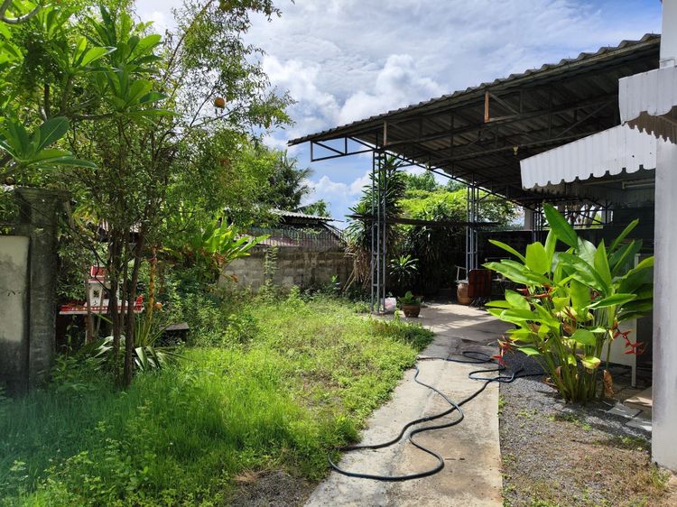 อื่นๆ ไม่มี สร้างเสร็จก่อน 2010 ขายบ้านเดี่ยว  รูปที่ 3