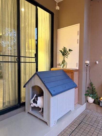 Dog House ไซส์ L สีBlue รูปที่ 8