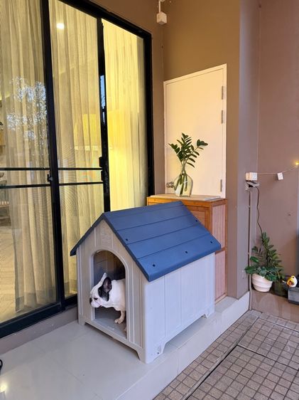 Dog House ไซส์ L สีBlue รูปที่ 2
