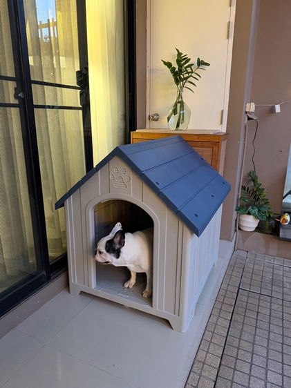 Dog House ไซส์ L สีBlue รูปที่ 4