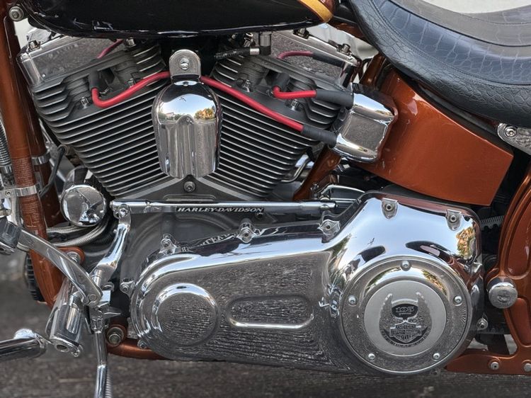 Softail Springer CVO 105 ปี  รูปที่ 14