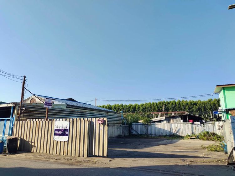 ให้เช่าที่ดินเปล่า ซอยแต้เจริญ 3 คลอง 5 ลำลูกกา