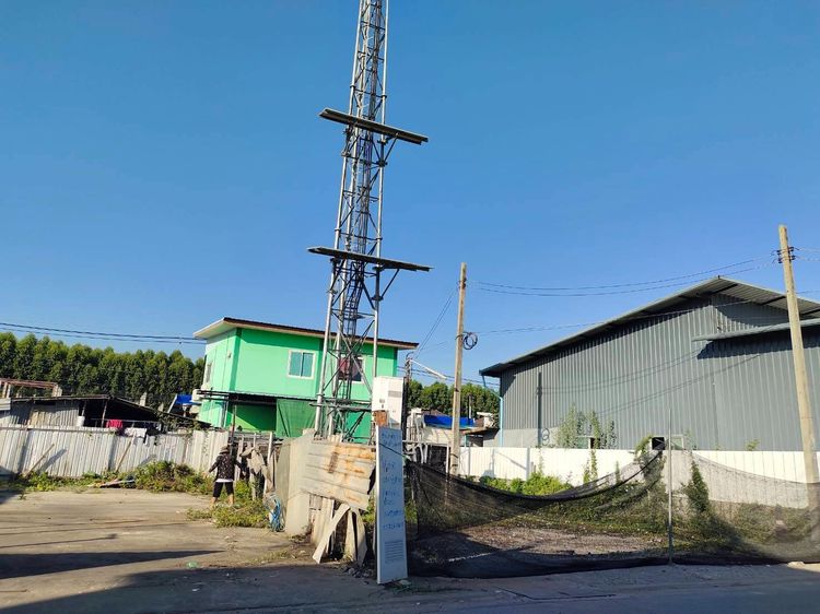 ให้เช่าที่ดินเปล่า ซอยแต้เจริญ 3 คลอง 5 ลำลูกกา รูปที่ 4