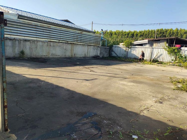 ให้เช่าที่ดินเปล่า ซอยแต้เจริญ 3 คลอง 5 ลำลูกกา รูปที่ 2