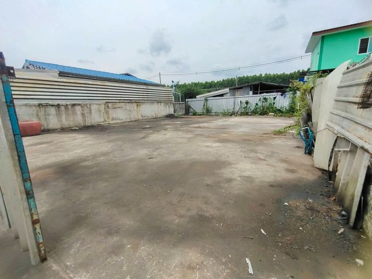 ให้เช่าที่ดินเปล่า ซอยแต้เจริญ 3 คลอง 5 ลำลูกกา รูปที่ 3