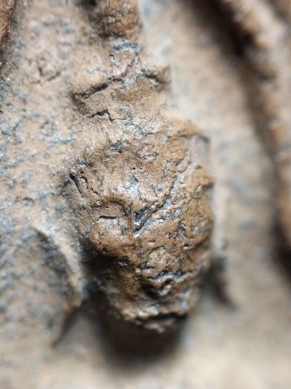 ❌ปิดครับ❌พระขุนแผนทรงพลเล็กสุพรรณบุรีครับ รูปที่ 3