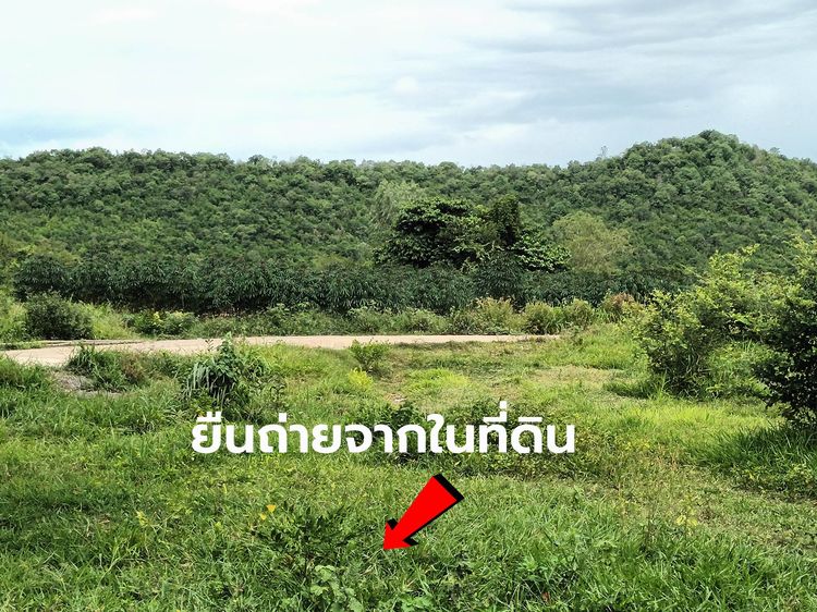 ที่ดินวิวเขา 120 ตรว ท่าม่วง กาญจนบุรี ติดถนนคอนกรีต มีไฟฟ้า ประปา เพื่อนบ้าน รูปที่ 3