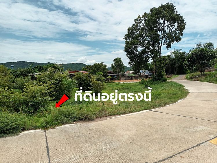 ที่ดินวิวเขา 120 ตรว ท่าม่วง กาญจนบุรี ติดถนนคอนกรีต มีไฟฟ้า ประปา เพื่อนบ้าน รูปที่ 4