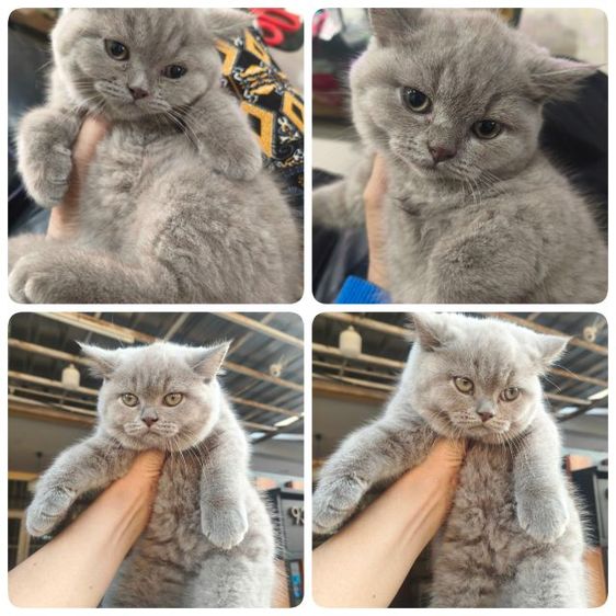 สาวน้อย 2 เดือน รูปที่ 4