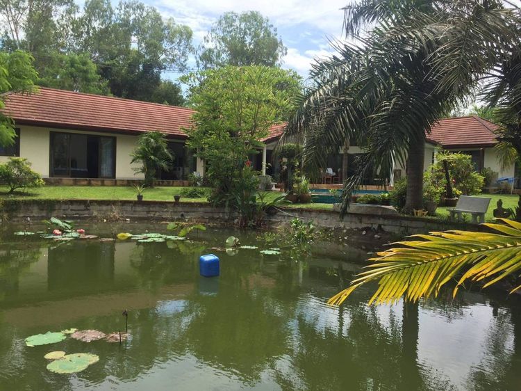 มีบางส่วน บ้านราคาถูกพัทยา เกือบ 3 งาน 🔥 รูปที่ 2