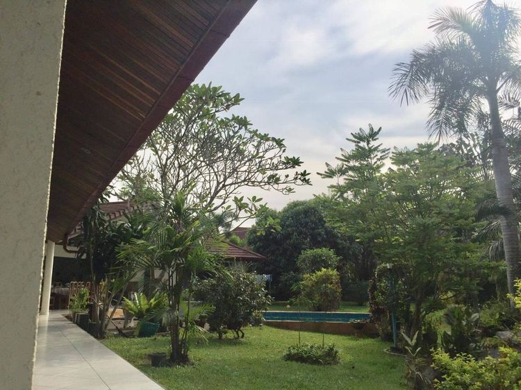 มีบางส่วน บ้านราคาถูกพัทยา เกือบ 3 งาน 🔥 รูปที่ 3