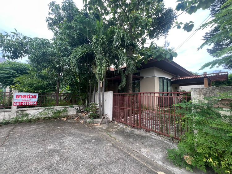 บ้านเดี่ยวชั้นเดียว เล่นระดับ เพดานสูง