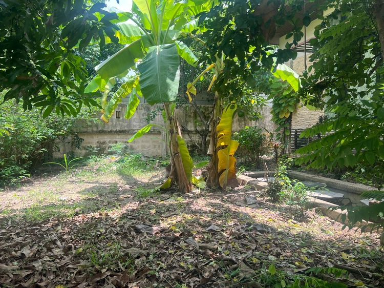 อื่นๆ ไม่มี สร้างเสร็จก่อน 2010 บ้านเดี่ยวชั้นเดียว เล่นระดับ เพดานสูง รูปที่ 3