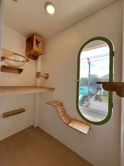 เซ้งโรงแรมแมว + อาบน้ำ-ตัดขน ลาดพร้าว 41 มีอุปกรณ์ครบพร้อมเปิด พร้อมแบรนด์ รูปที่ 6