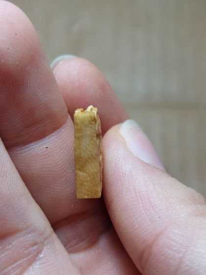 เครื่องรางสิงห์สาริกาคอม้าหลวงพ่อมุ่ยวัดดอนไร่งานสิ่ว รูปที่ 3