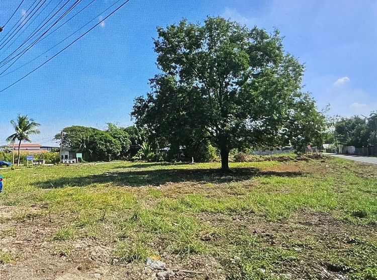 ที่ดินนครชัยศรี 649ตร.ว แถวด่านมอเตอร์เวย์M81 บางใหญ่-กาญจนบุรี รูปที่ 3