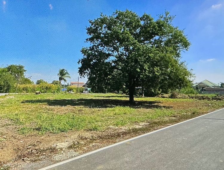 ที่ดินนครชัยศรี 649ตร.ว แถวด่านมอเตอร์เวย์M81 บางใหญ่-กาญจนบุรี รูปที่ 2