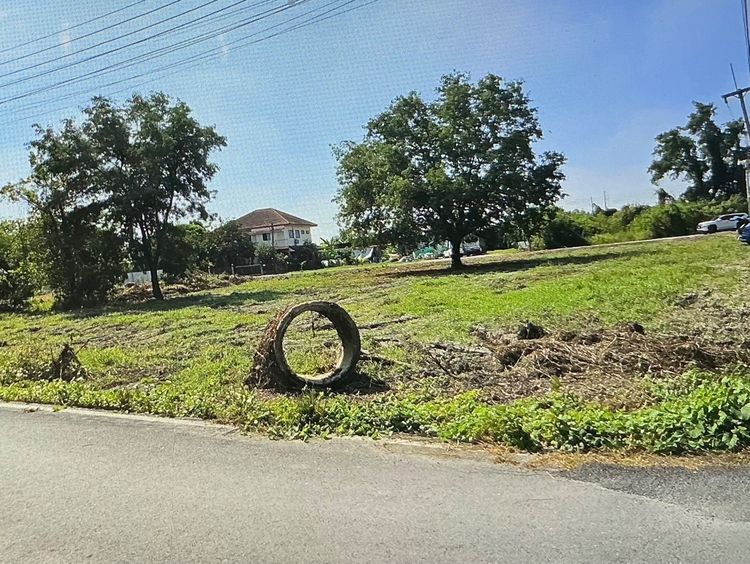 ที่ดินนครชัยศรี 649ตร.ว แถวด่านมอเตอร์เวย์M81 บางใหญ่-กาญจนบุรี รูปที่ 4