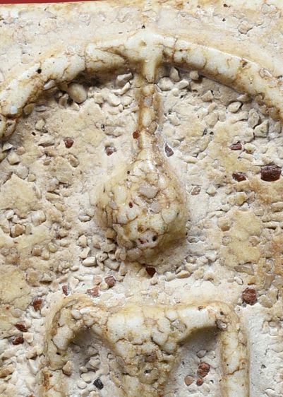 พระสมเด็จวัดระฆัง พิมพ์ใหญ่ มีมวลสาร เนื้อก้นครก สวย รูปที่ 8