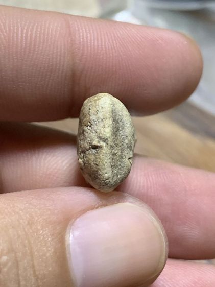 พระวัดพลับ รูปที่ 5