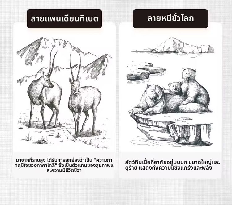 ถุงนอนหมี-แพนเดียนทิเบต ในตำนาน ราคาโปรถุงนอนคู่ 1990 ลดเหลือ 990 อุ่นที่ 15องศา กลางๆที่10 หนาวที่5องศา  รูปที่ 3