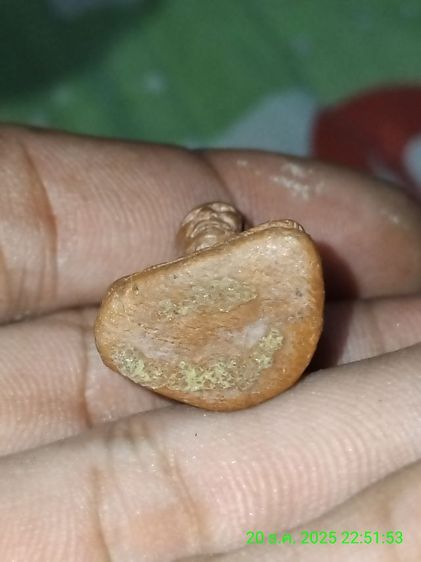 หลวงปู่ทวด วัดสะบ้าย้อย รูปที่ 6