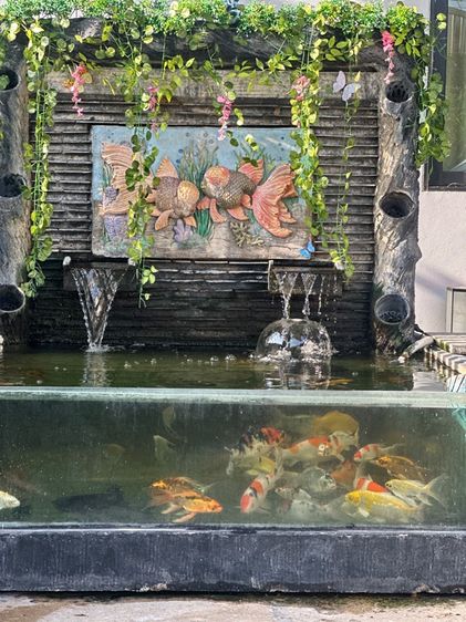 ปลาคราฟ