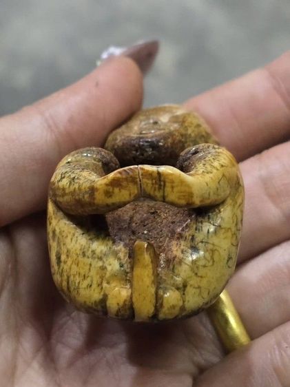 กุมาร รูปที่ 6