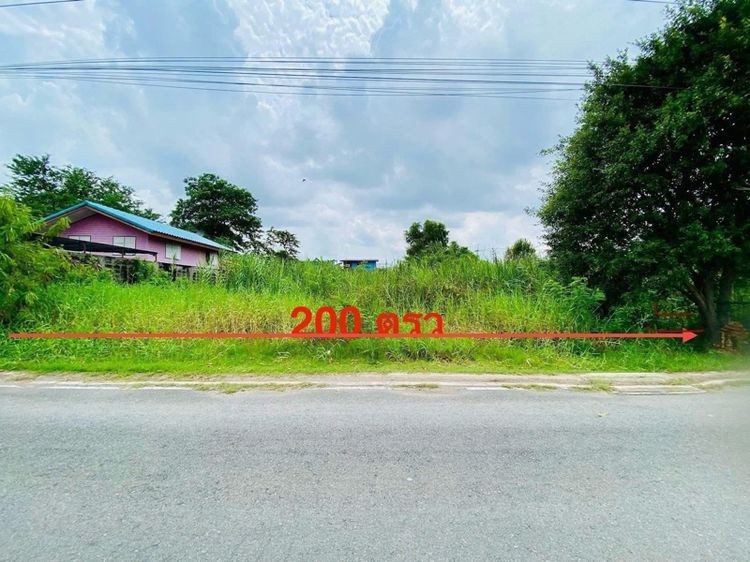 ใช่ ขายครับที่ดินทำเลดี ซอยวัดลาดปลาดุก บางบัวทอง จังหวัดนนทบุรี รูปที่ 3