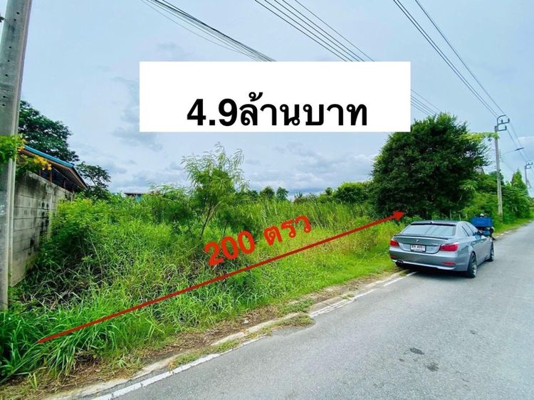 ใช่ ขายครับที่ดินทำเลดี ซอยวัดลาดปลาดุก บางบัวทอง จังหวัดนนทบุรี รูปที่ 2