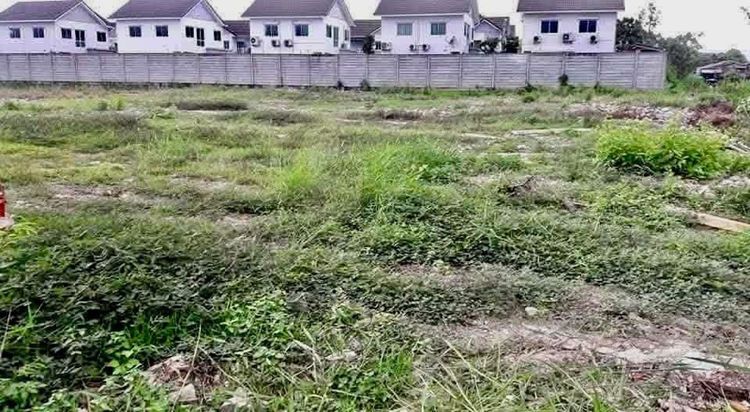 ใช่ ขายครับ ที่ดินแปลงสวย เนื้อที่1ไร่ถมแล้วเรียบร้อย กรุงเทพราคานี้ไม่แพงครับ รูปที่ 2