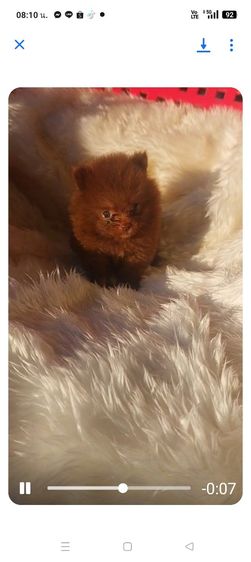 ปอมลพบุรี รูปที่ 3