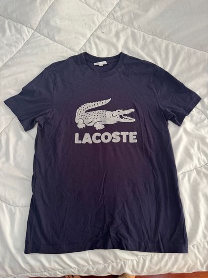 เสื้อผู้ชาย Lacoste
