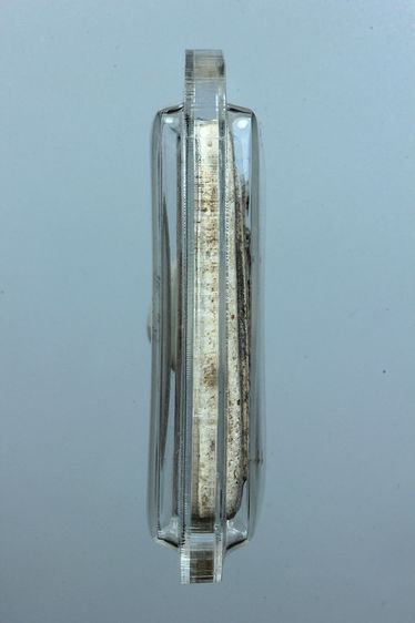 พระสมเด็จวัดเกศไชโยสวยๆค่ะเก่าค่ะ รูปที่ 3