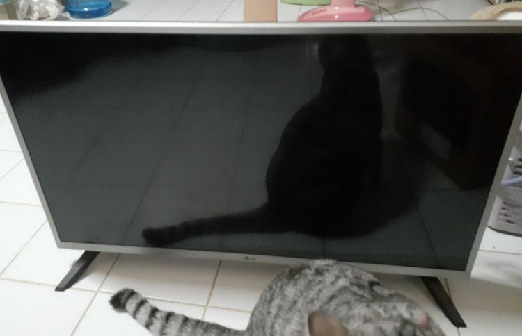 Smart TV LCD LG (หน้าจอเสีย ไม่มีภาพ มีแต่เสียง) รูปที่ 3
